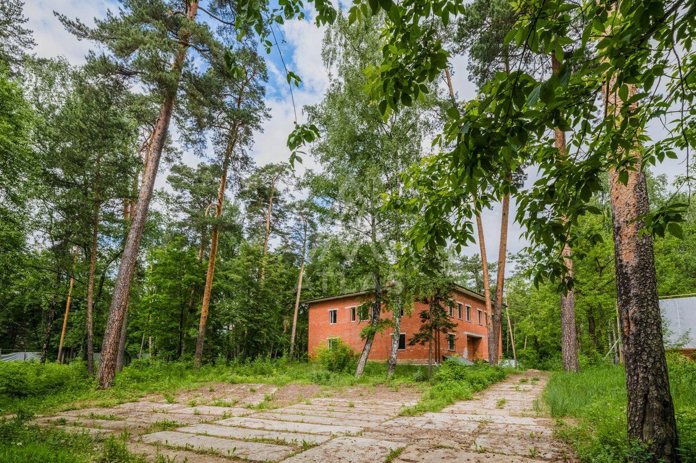 Участок с корабельными соснами, фото 6