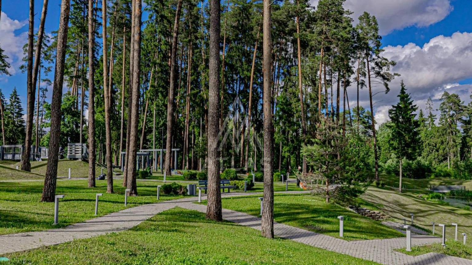 Дом в стиле шале на лесном участке, фото 18