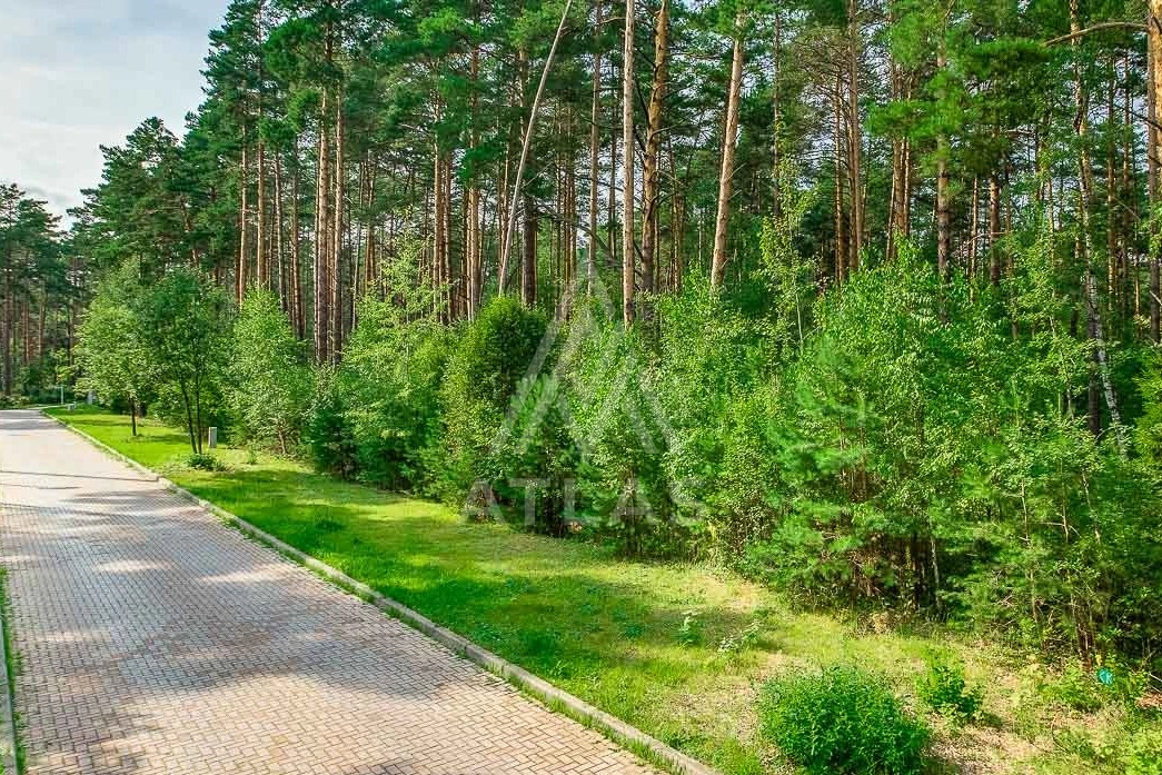Лесной участок в элитном поселке, фото 5