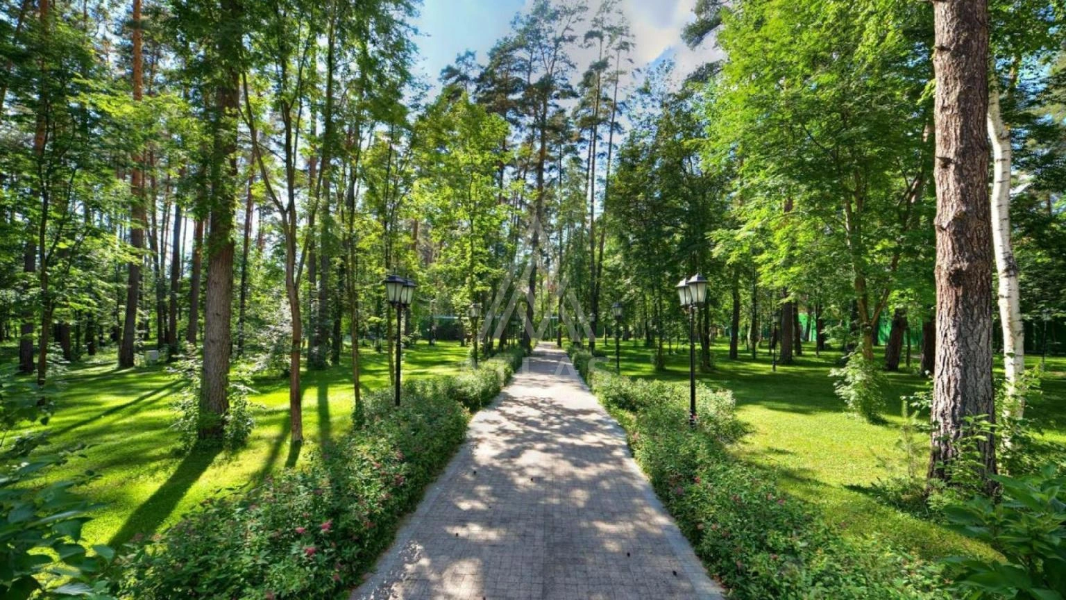 Резиденция со СПА-зоной на лесном участке, фото 10