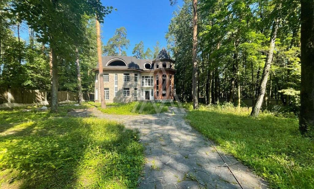 Участок с лесными деревьями, фото 1