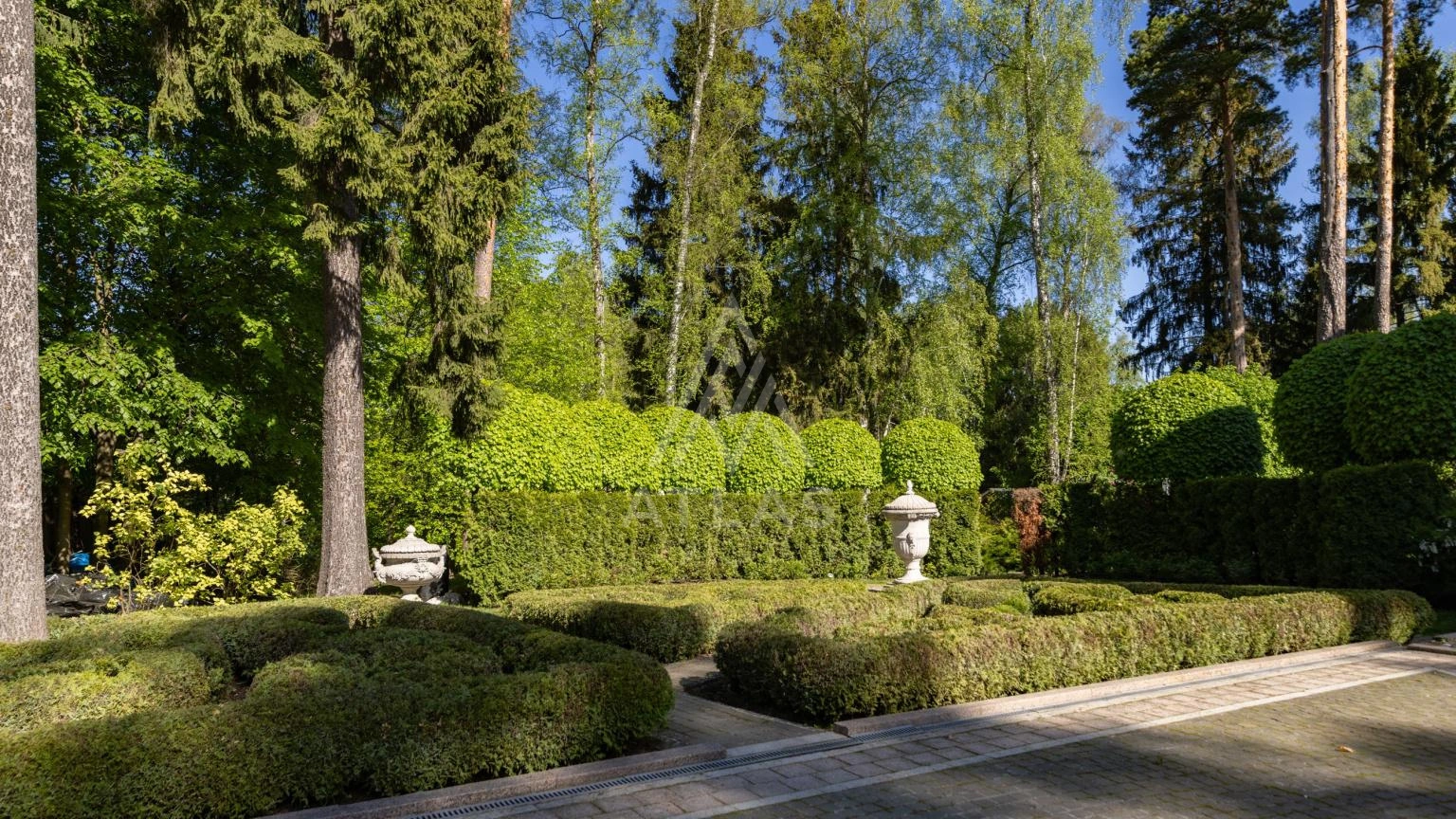 Участок с лесными деревьями, фото 3