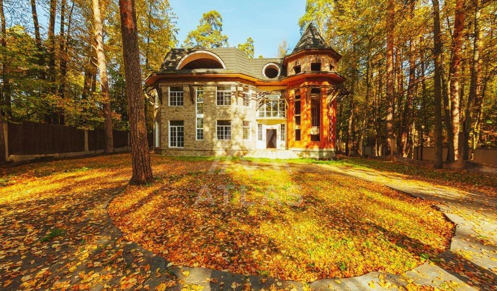 Участок с лесными деревьями, фото 7