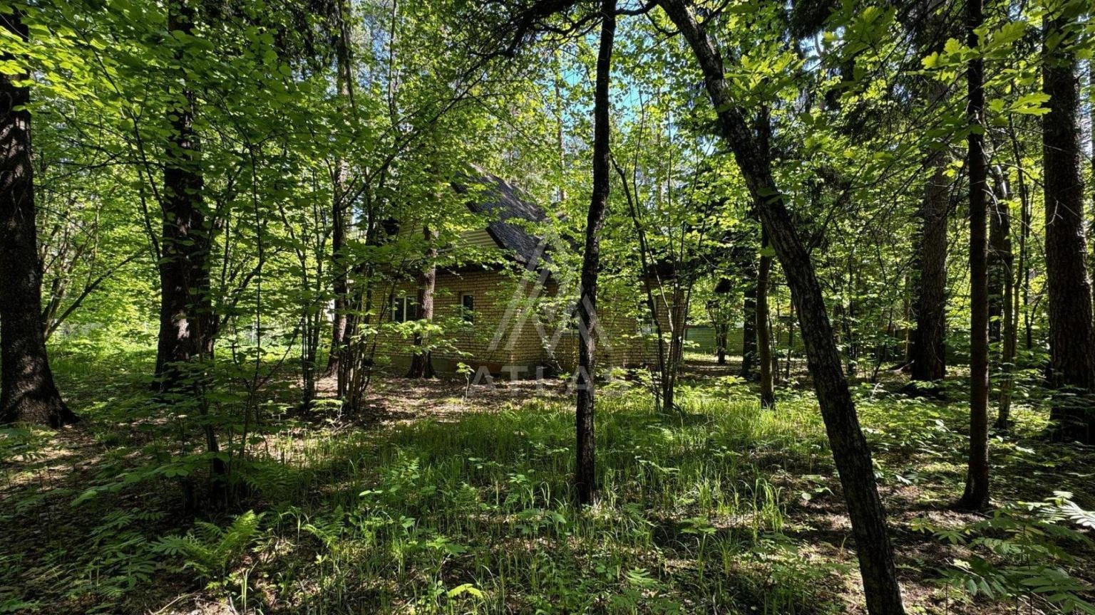Живописный лесной участок, фото 1