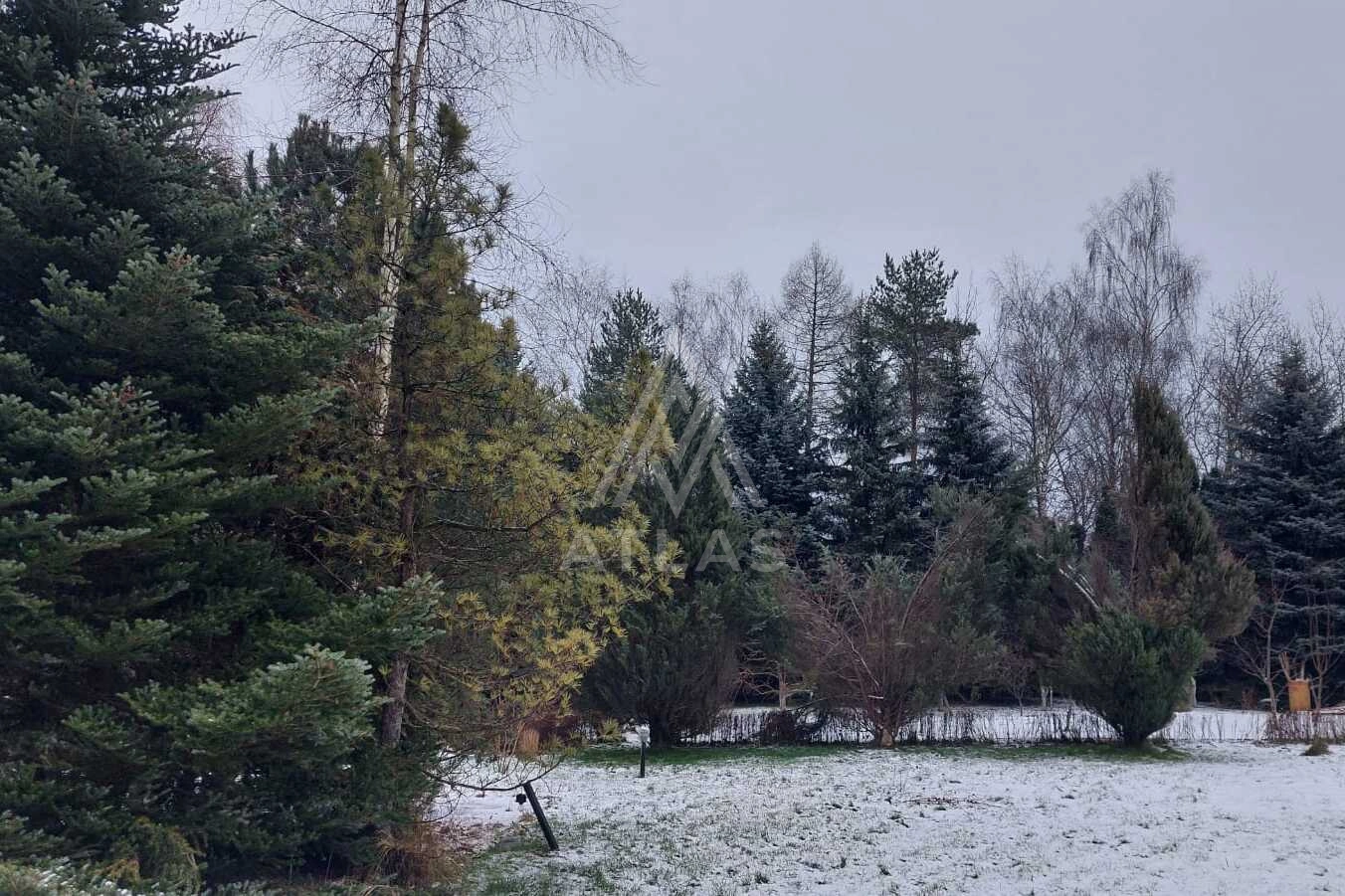 Видовой участок, фото 2