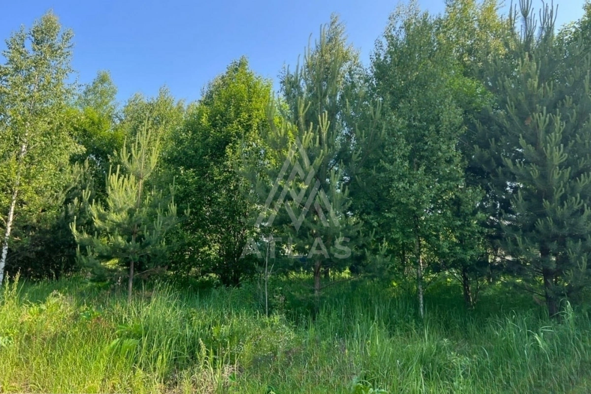 Видовой участок, фото 3