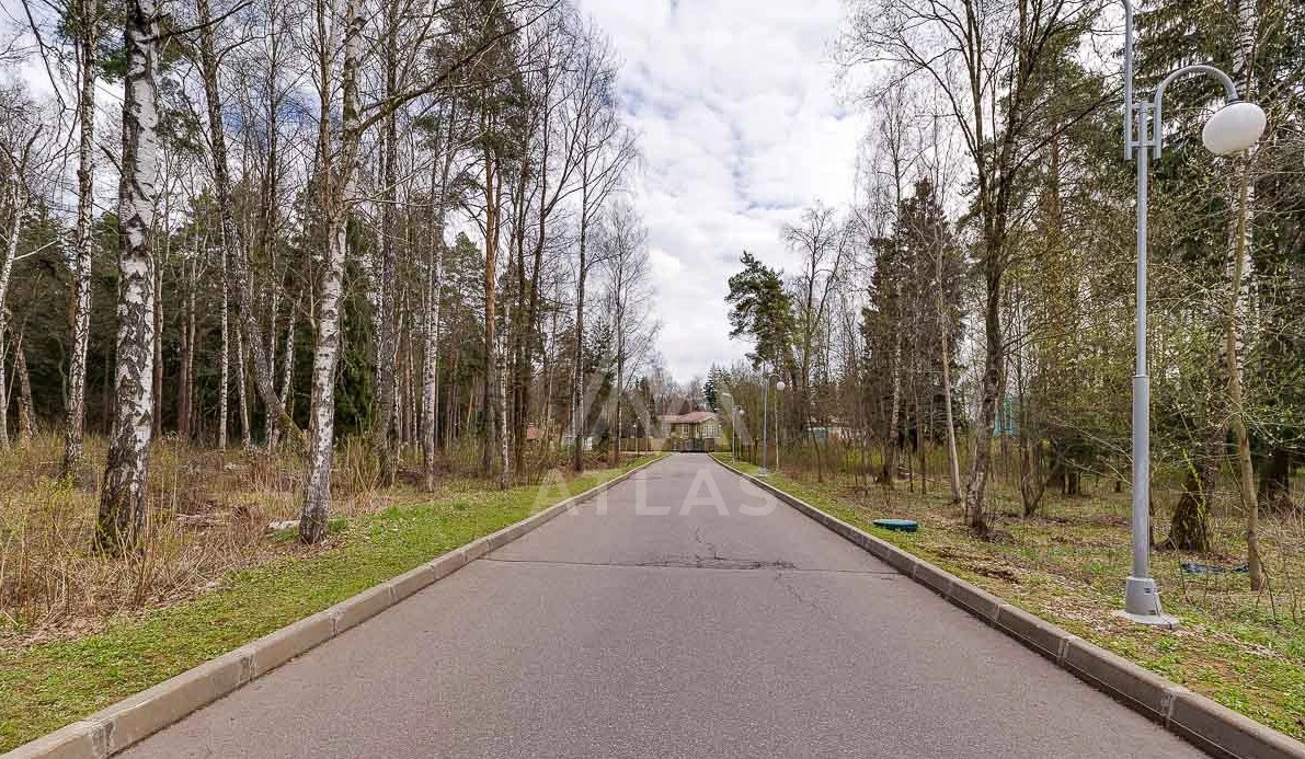 Лесной участок, фото 3