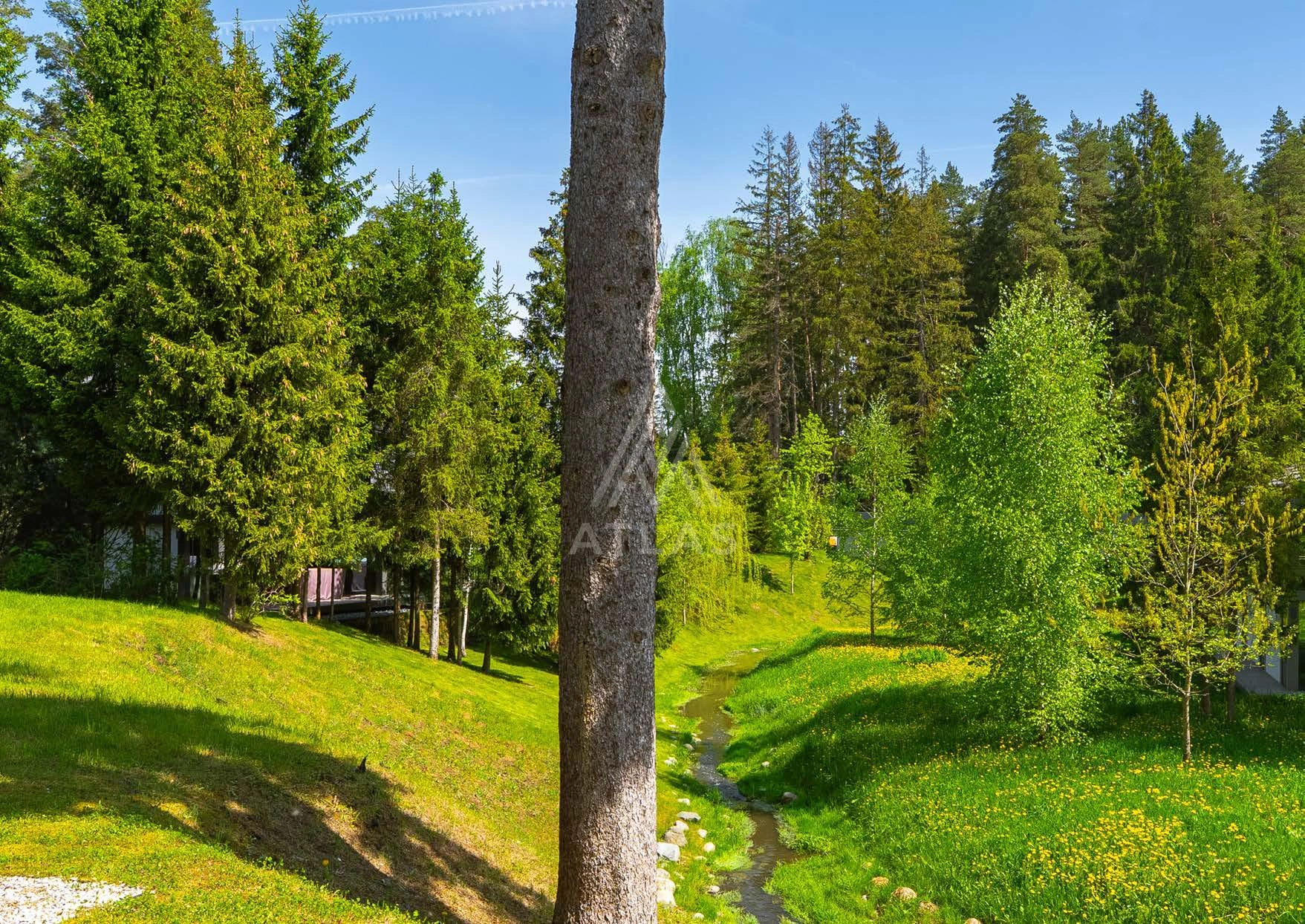 Современный дом с панорамным остеклением, фото 12