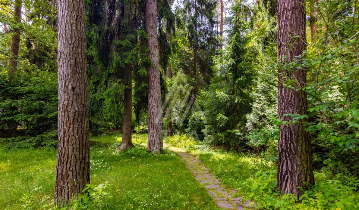 Лесной участок, фото 1
