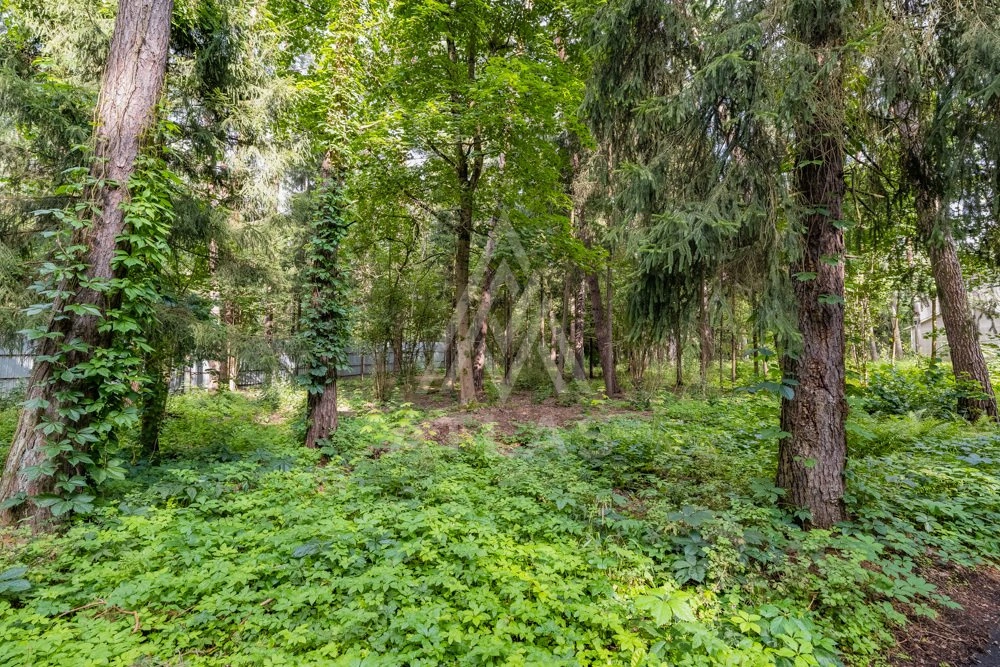 Лесной участок, фото 1