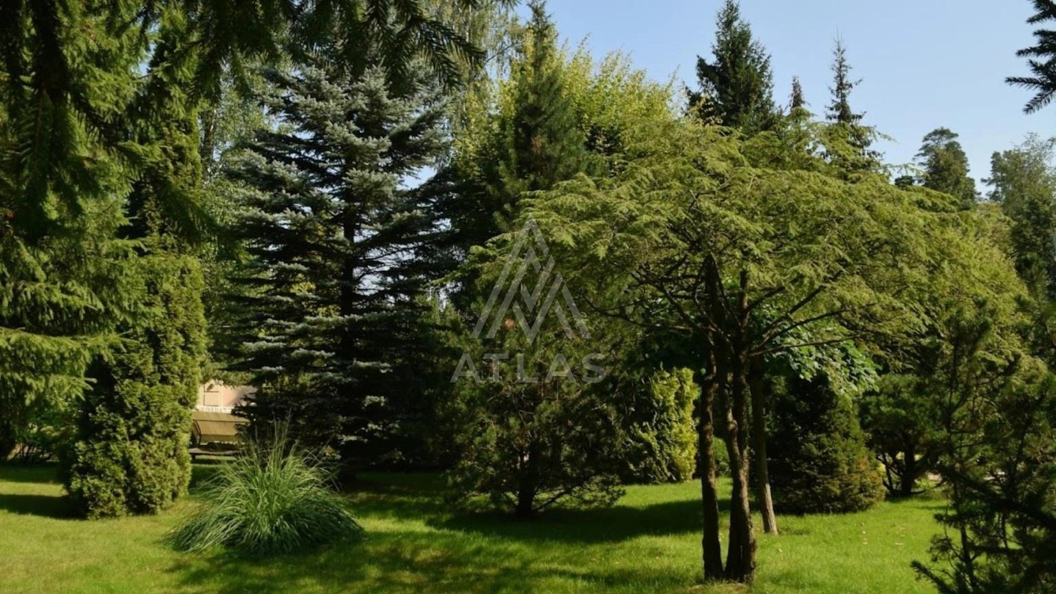 Классический особняк с бассейном, фото 16