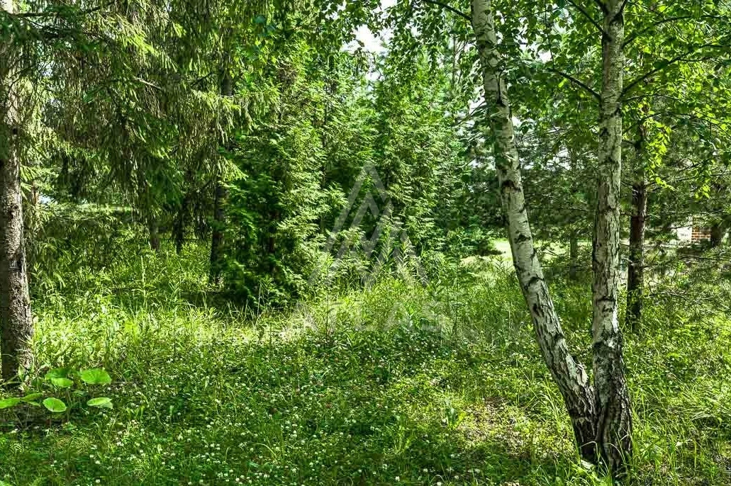 Участок в живописном месте, фото 1