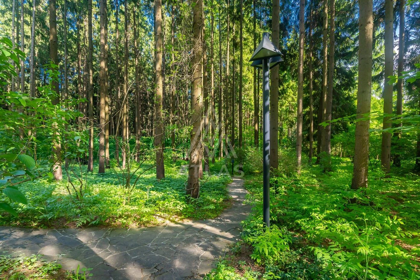 Резиденция на просторном лесном участке, фото 31
