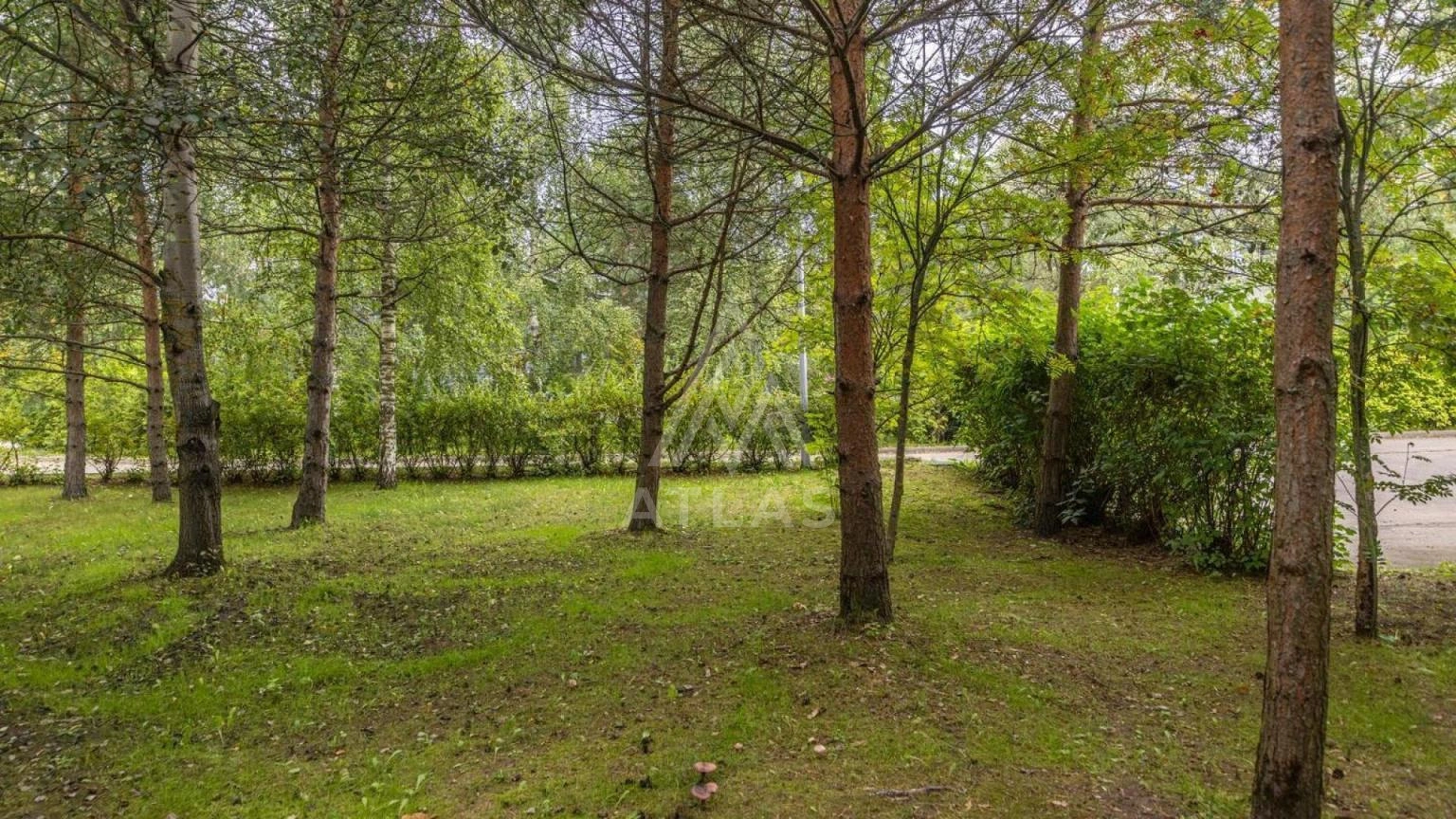 Деревянный дом на лесном участке, фото 19