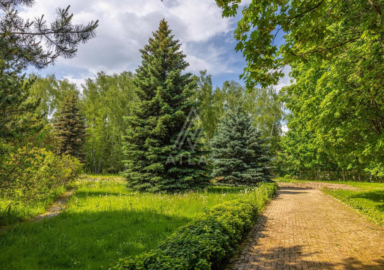 Участок в живописном месте, фото 10