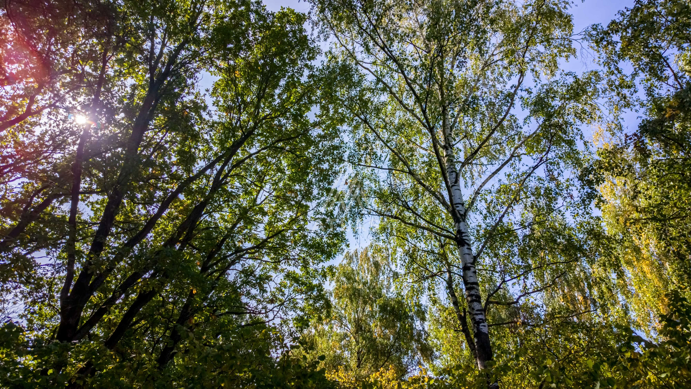Участок в живописном месте, фото 1
