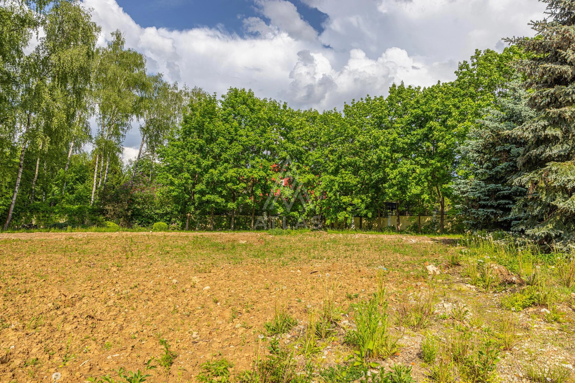 Участок в живописном месте, фото 2