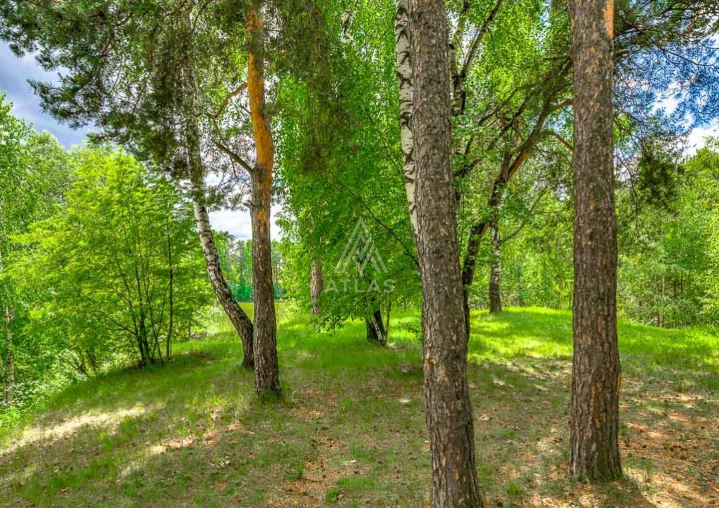 Участок в живописном месте, фото 4
