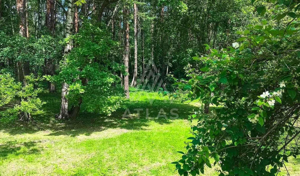 Участок в живописном месте, фото 3