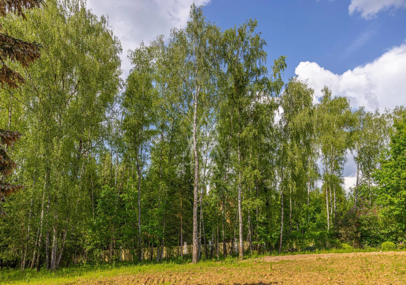 Участок в живописном месте, фото 5