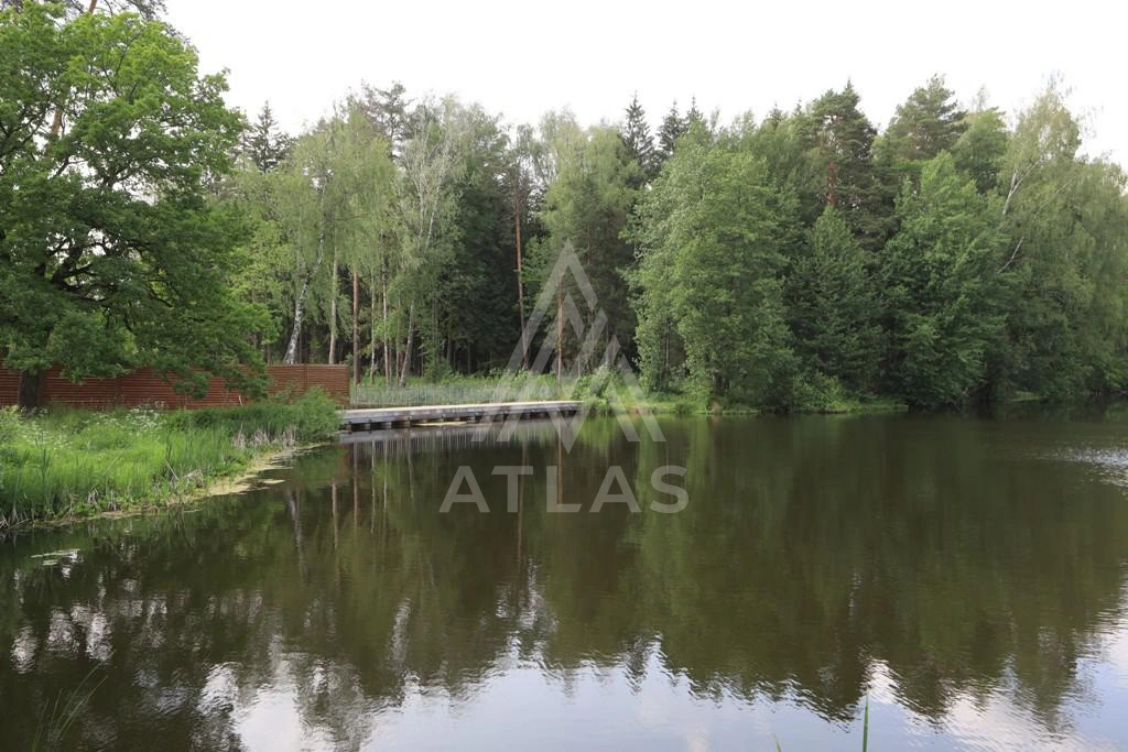Видовой участок с лесными деревьями, фото 1