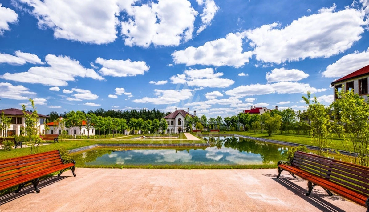 Участок с лесными деревьями, фото 4