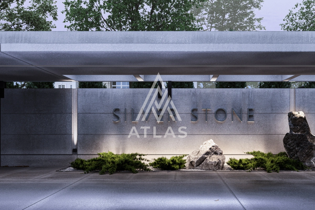 Silver Stone, фото 1