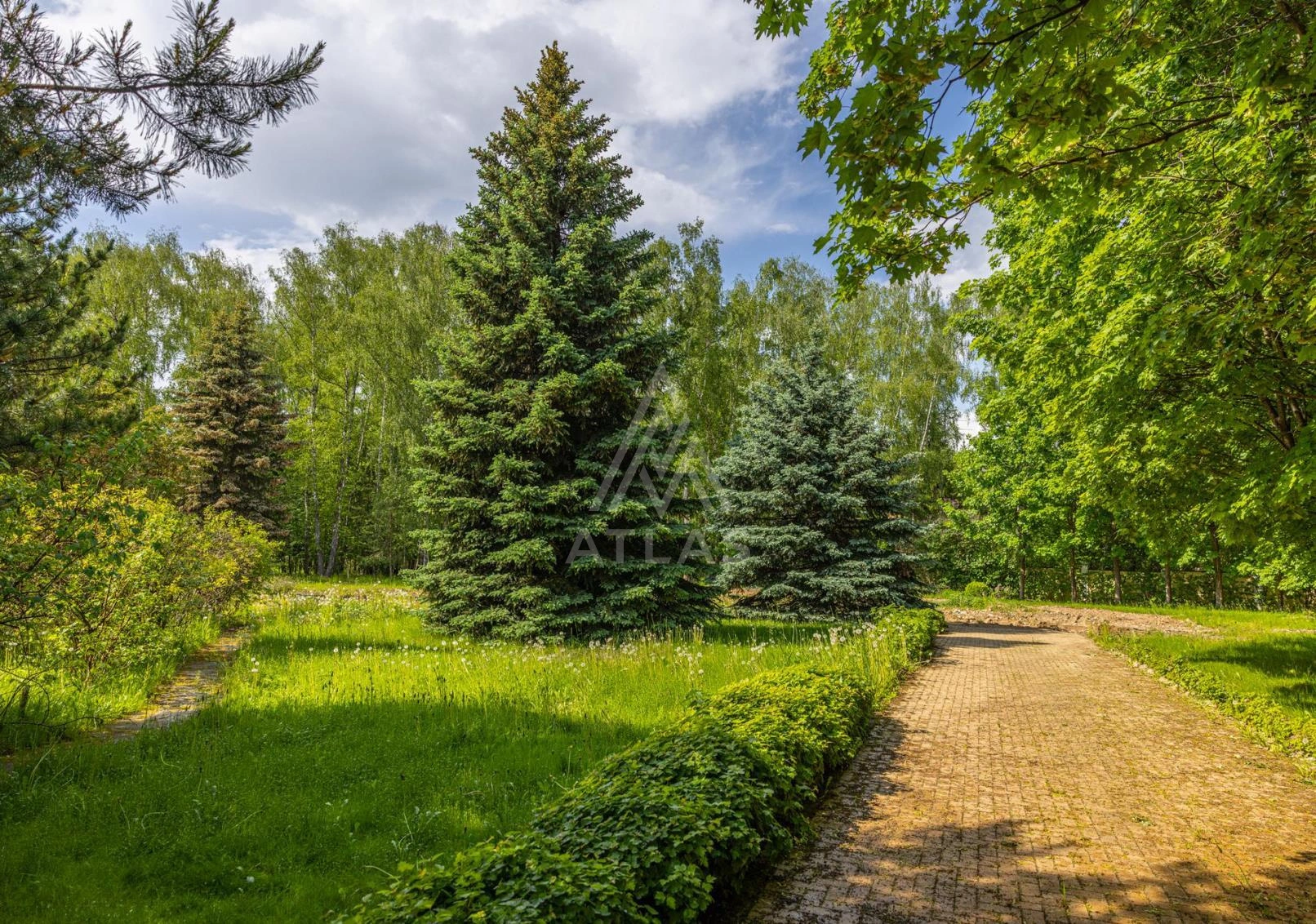 Участок в живописном месте, фото 6
