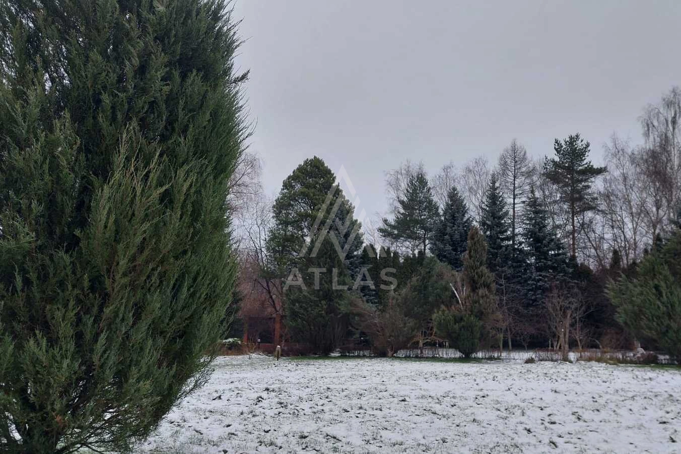Видовой участок, фото 1