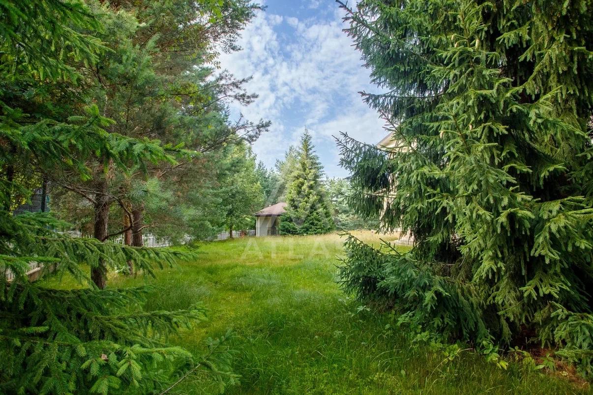 Классический особняк на просторном участке, фото 14