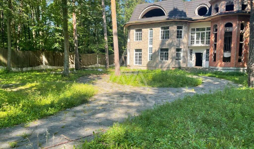 Участок с лесными деревьями, фото 2