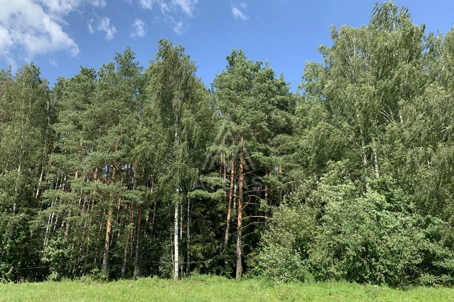 Лесной участок в живописном месте, фото 1