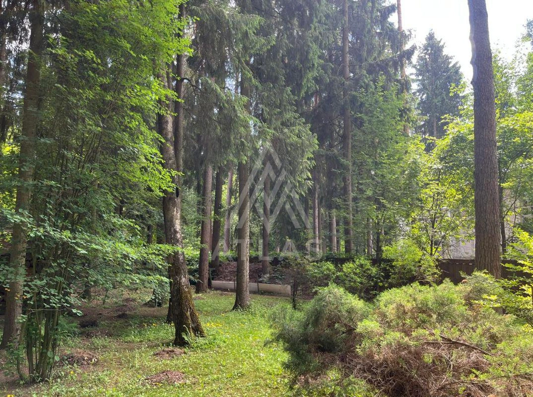 Лесной участок, фото 1