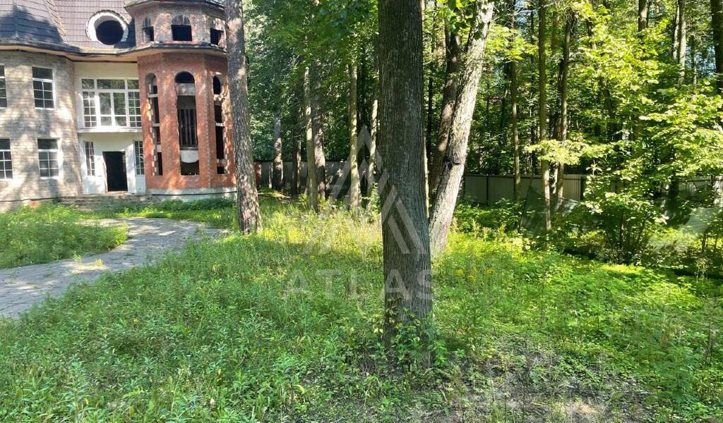 Участок с лесными деревьями, фото 4