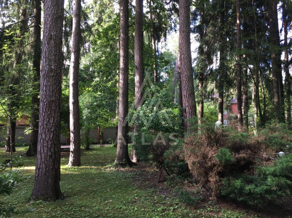 Лесной участок, фото 2