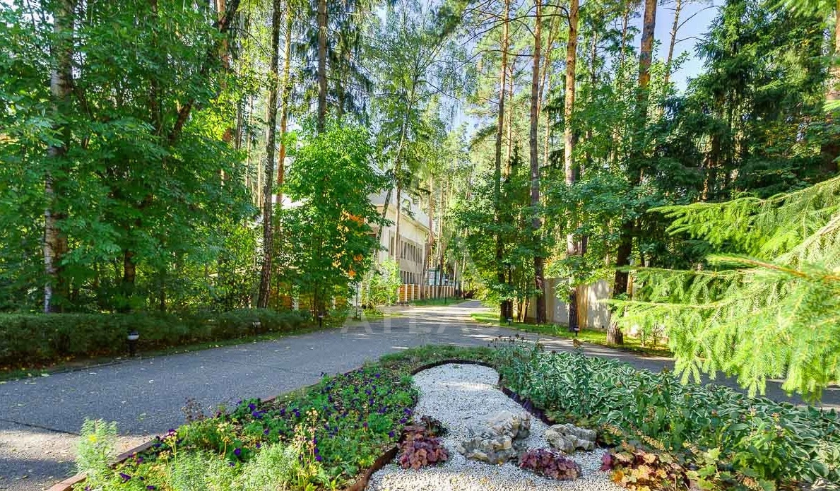 Лесной участок в живописном месте, фото 4