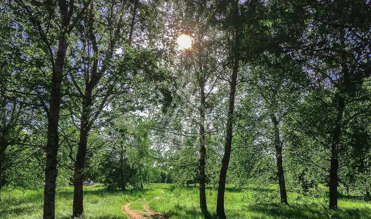 Участок в живописном месте, фото 1