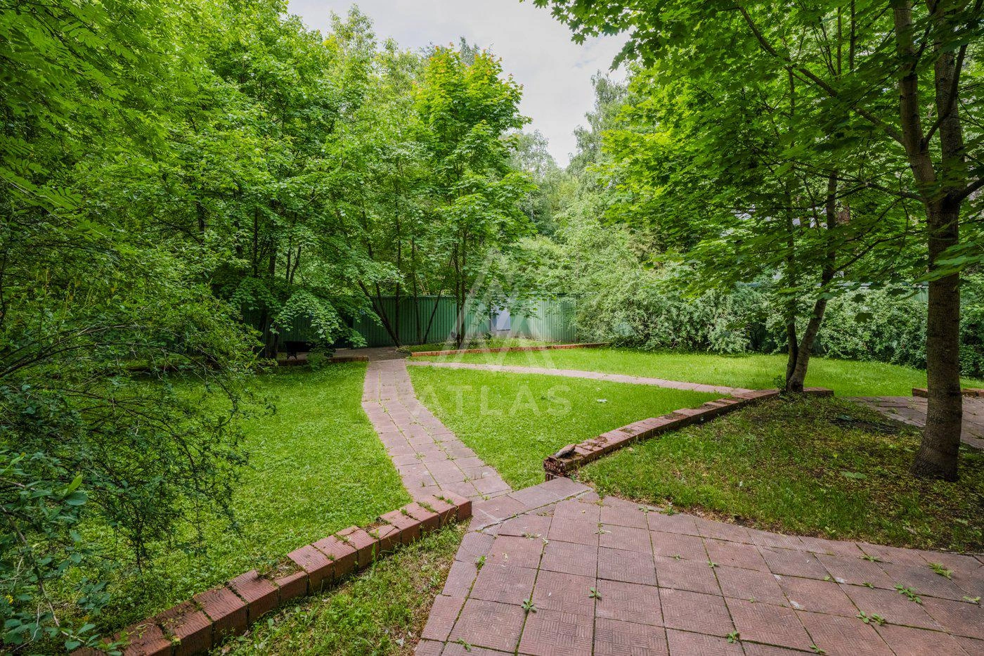 Участок с лесными деревьями, фото 8