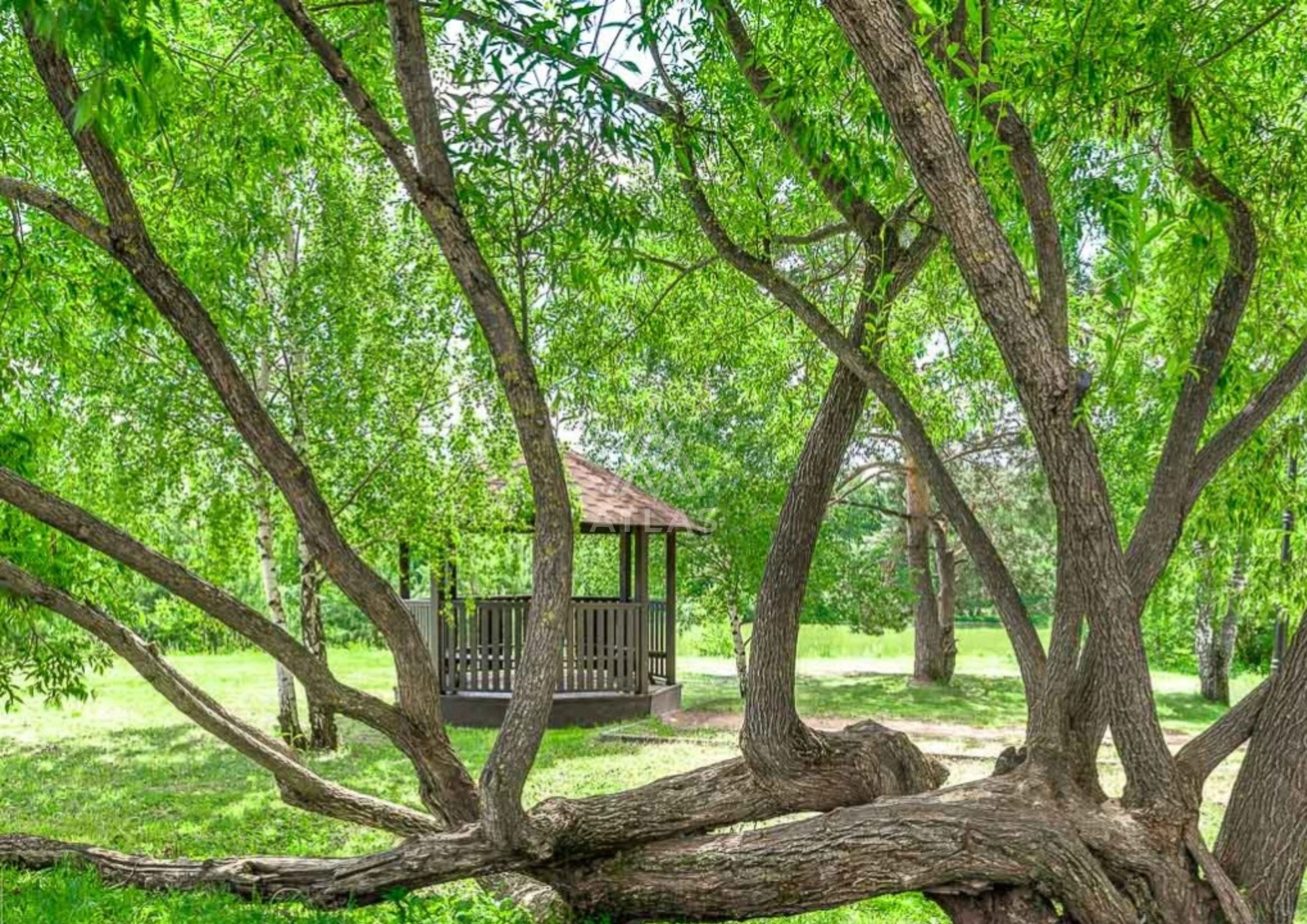 Участок в элитном поселке, фото 4