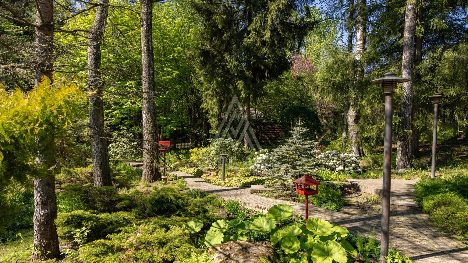 Участок с лесными деревьями, фото 8