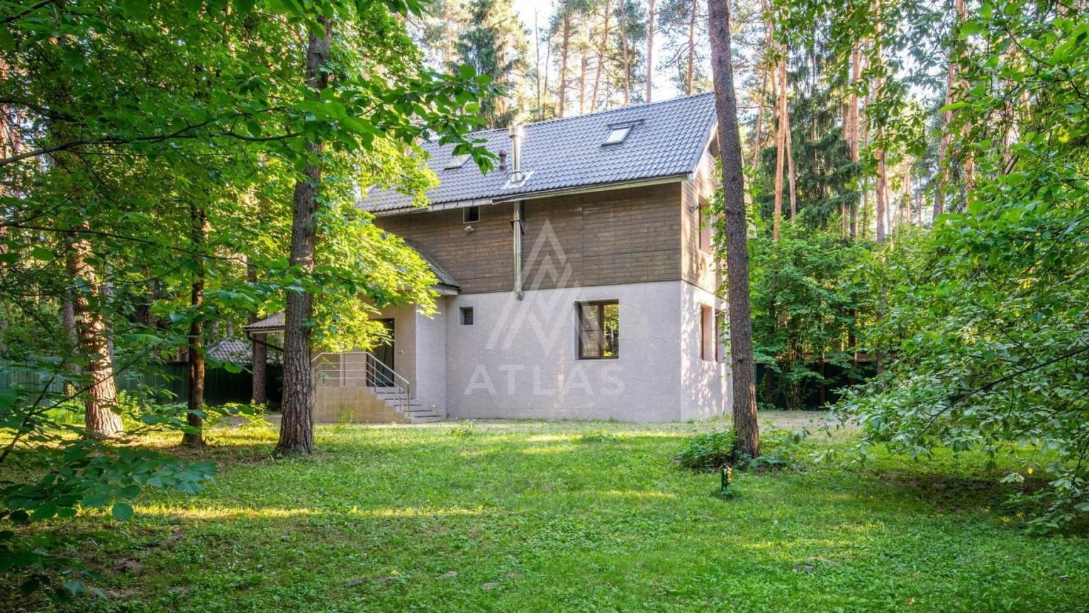 Участок с лесными деревьями, фото 1