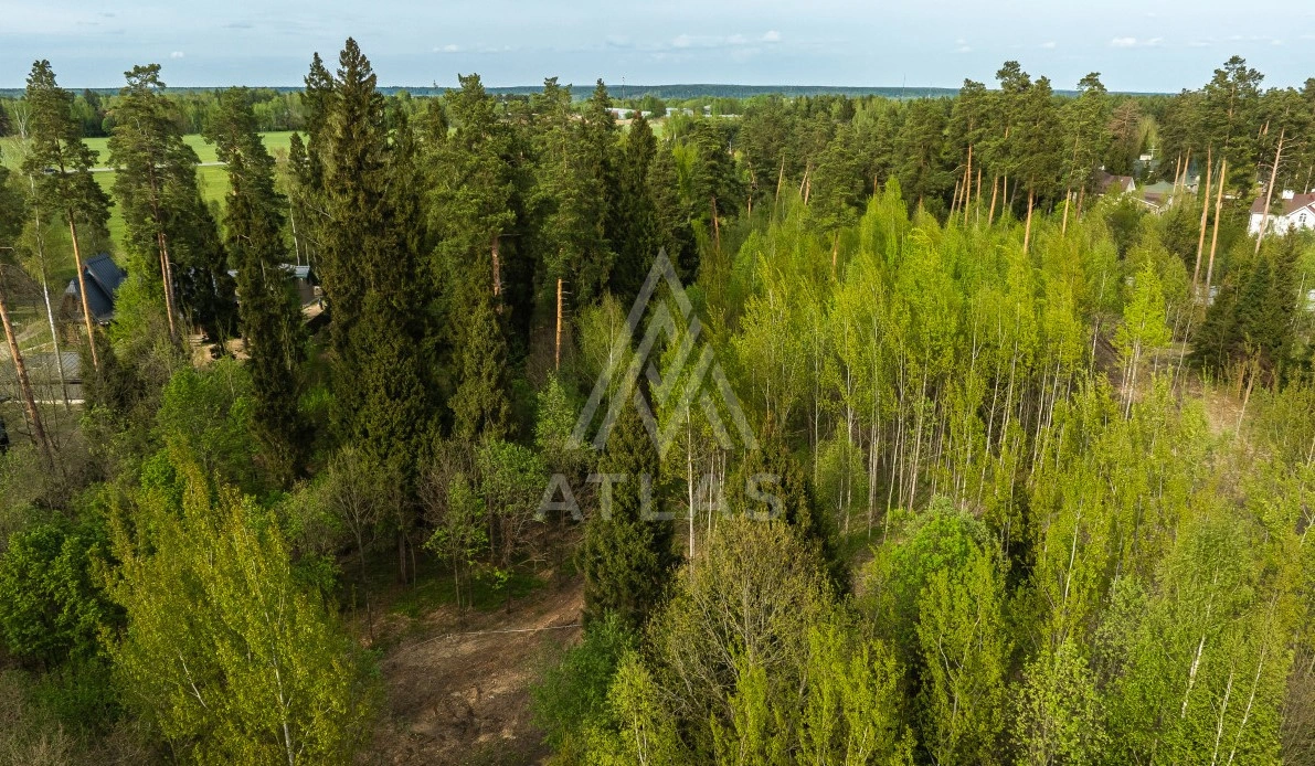 Лесной участок, фото 1