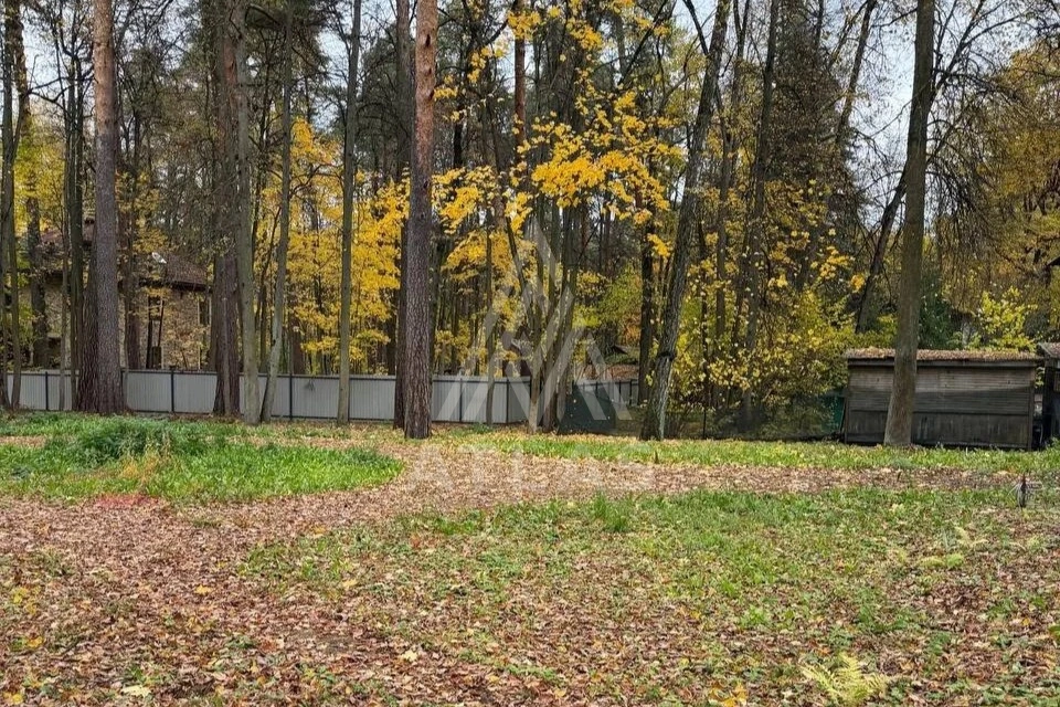 Лесной участок с выходом в парк, фото 2
