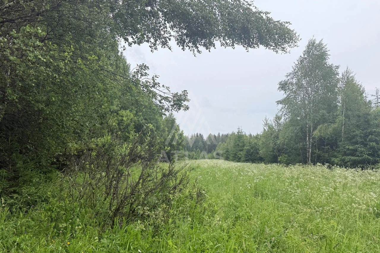 Участок у леса и реки, фото 1