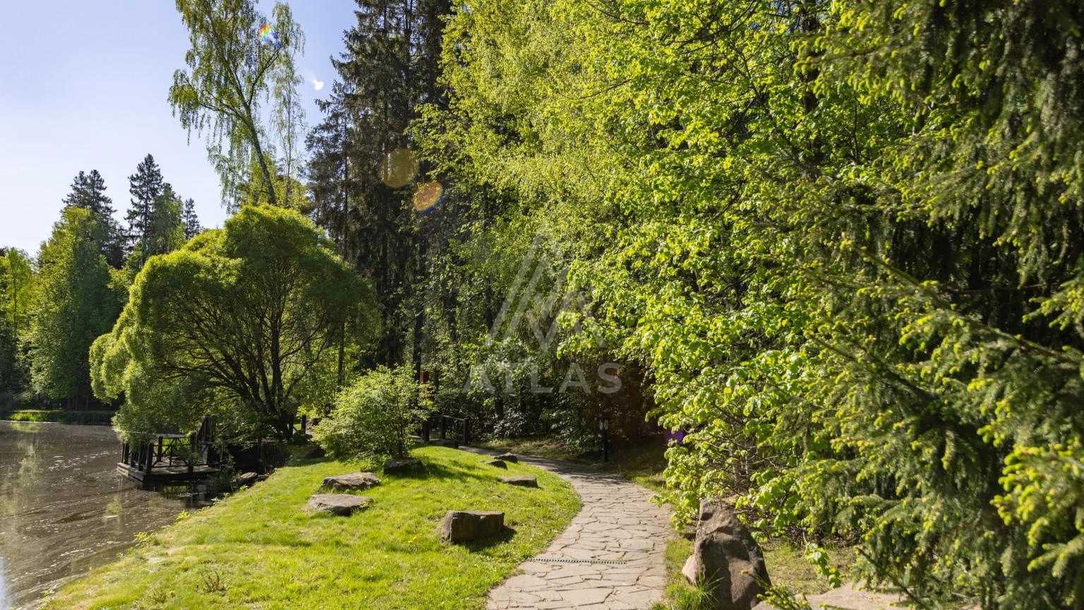 Участок с лесными деревьями, фото 1