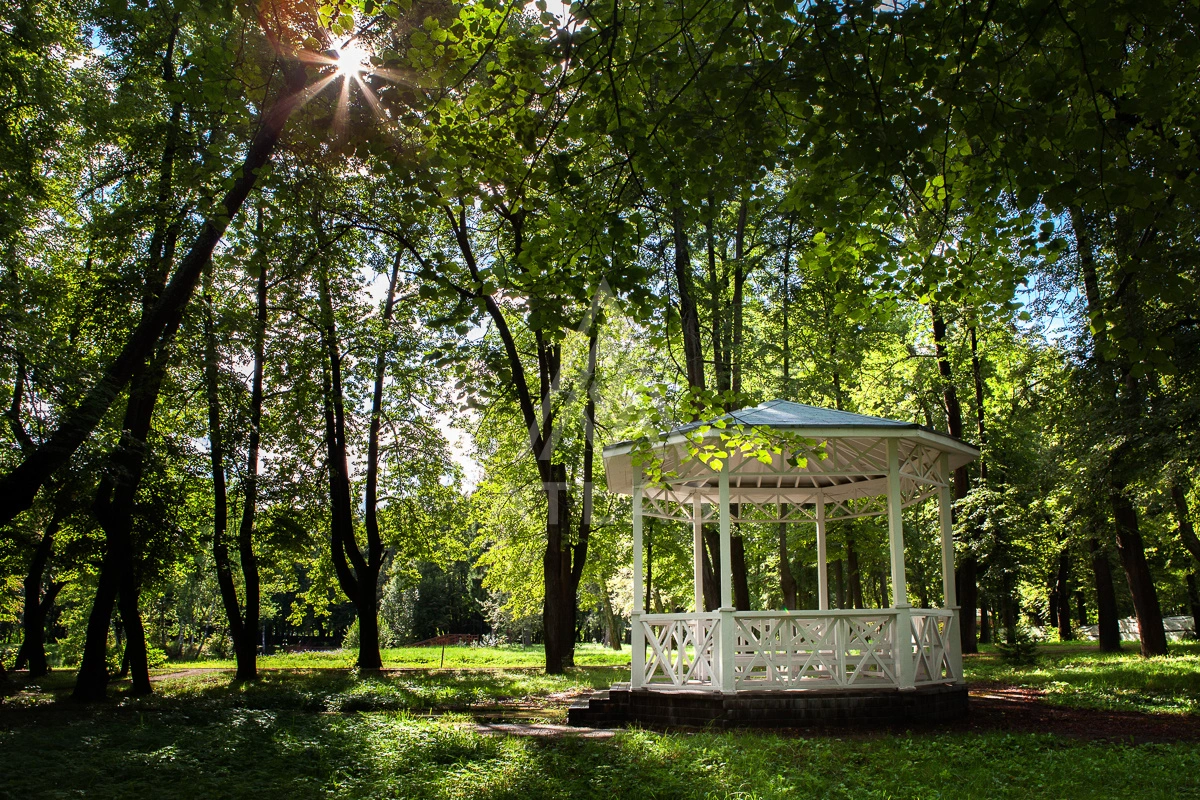 Видовой участок, фото 1