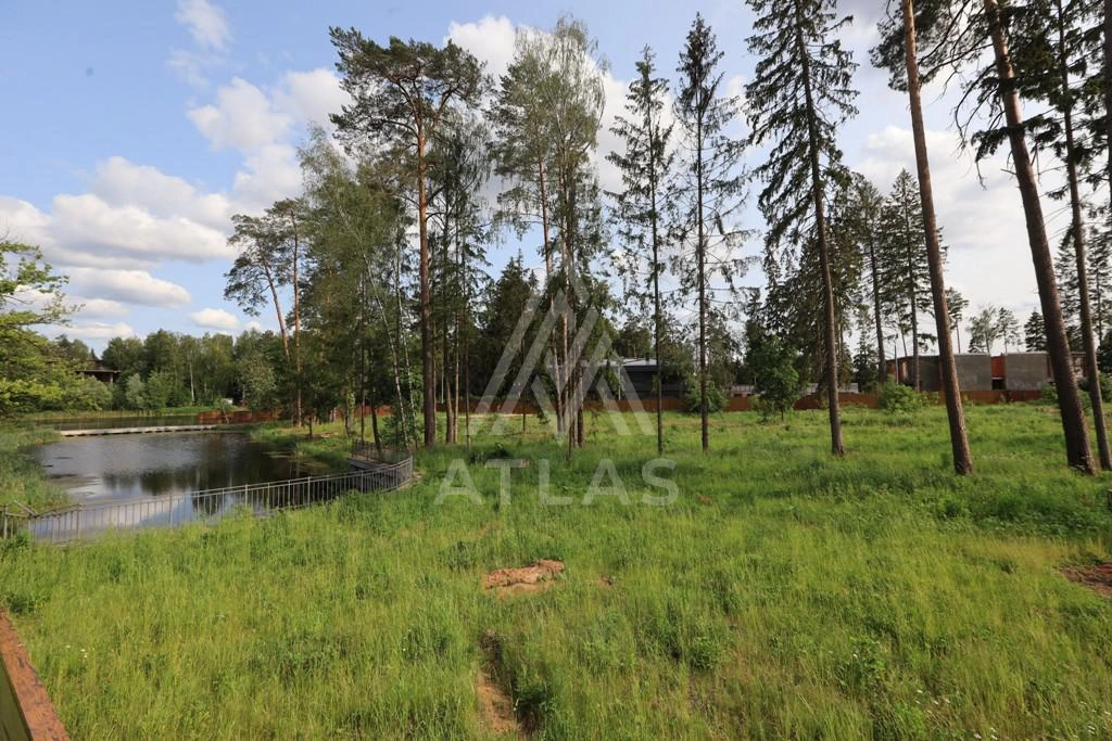 Видовой участок с лесными деревьями, фото 7