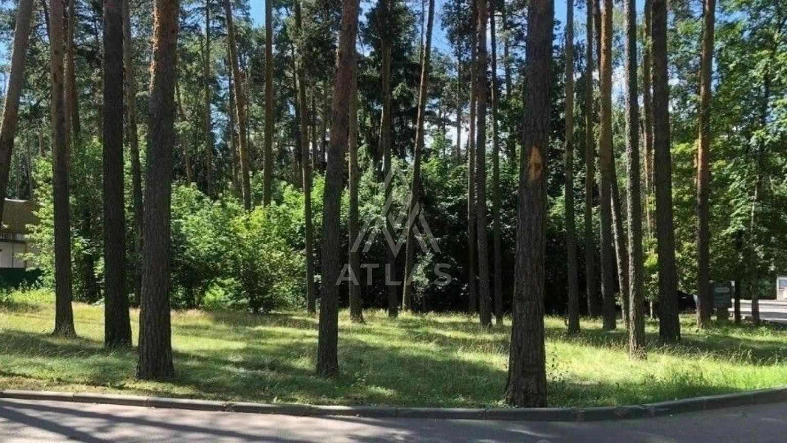 Лесной участок, фото 2