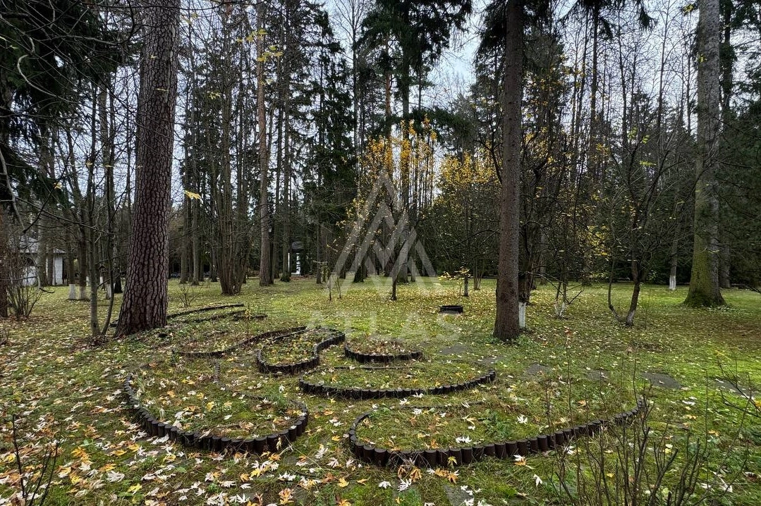Лесной участок в живописном месте, фото 1
