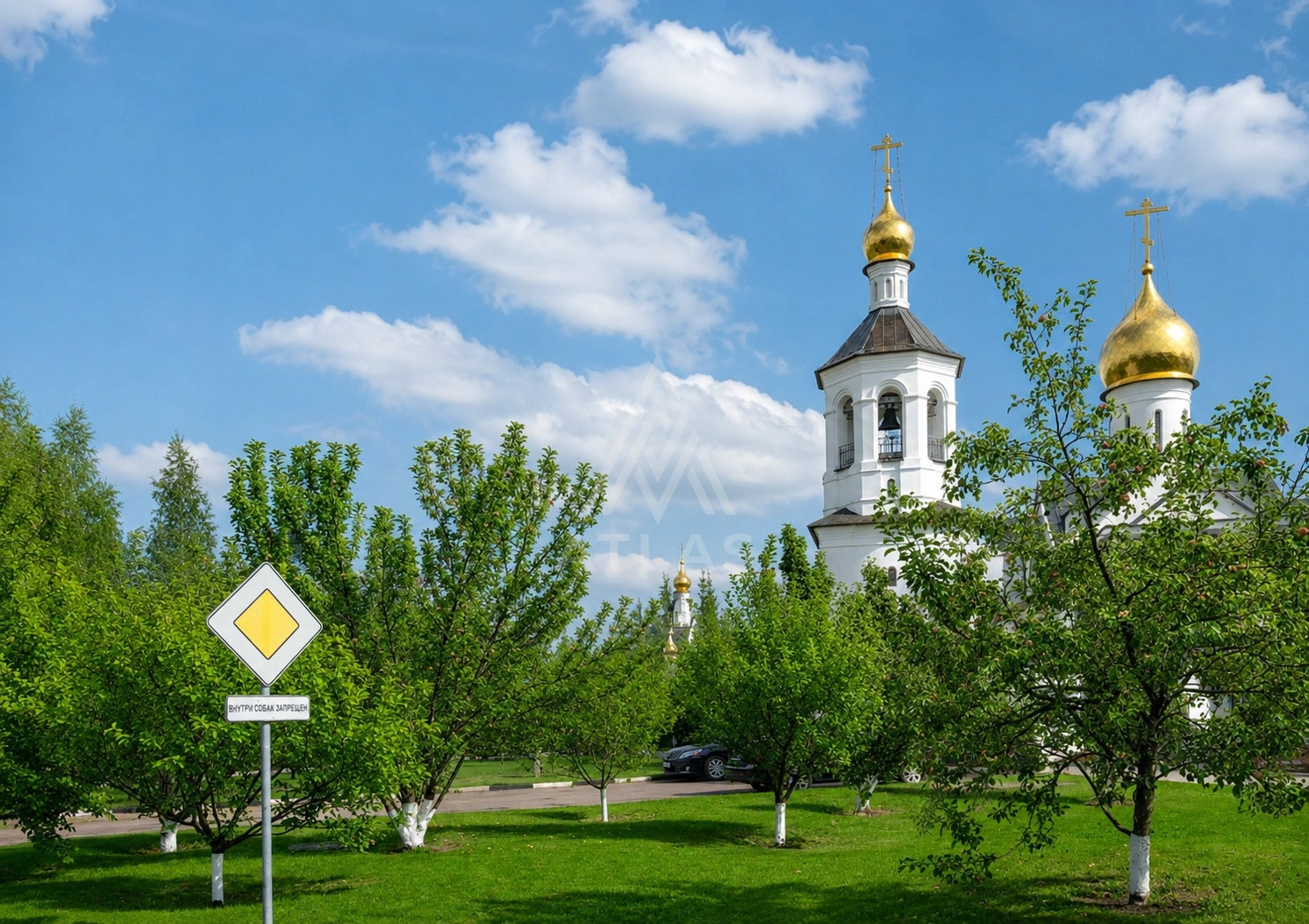 Участок в элитном месте, фото 2
